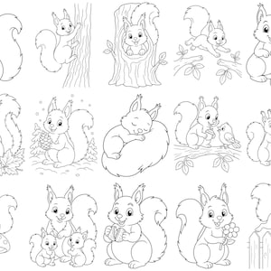 Puede incluir: Una colección de quince ilustraciones de arte lineal en blanco y negro que muestran ardillas en varias posturas. Las ardillas están representadas sosteniendo bellotas, trepando árboles, sentadas sobre setas, interactuando con pájaros y jugando cerca de una valla de madera.