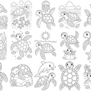 May include: A collection of fifteen black and white line art illustrations featuring sea turtles in various underwater and beach settings. The drawings include turtles swimming, resting on rocks, hatching from eggs, and interacting with fish, a dolphin, and a jellyfish.