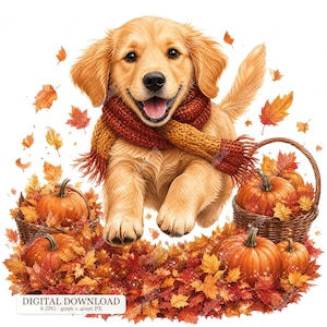 Könnte beinhalten: Ein Golden Retriever Welpe mit einem grob gestrickten rostfarbenen Schal, umgeben von orangefarbenen Kürbissen in Weidenkörben und verstreuten herbstlichen Ahornblättern. Das Bild enthält den Text DIGITAL DOWNLOAD 8 JPG 4096 x 4096 PX.