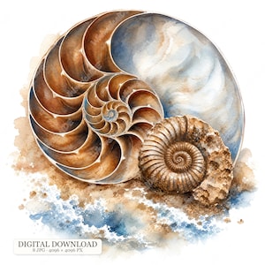 Könnte beinhalten: Eine Aquarellillustration mit einem großen Nautilusgehäuse mit braunen und cremefarbenen Spiralkammern neben einem texturierten braunen Ammonitenfossil, vor einem Hintergrund aus blauen und beigen Aquarellfarben mit dem Text DIGITAL DOWNLOAD.