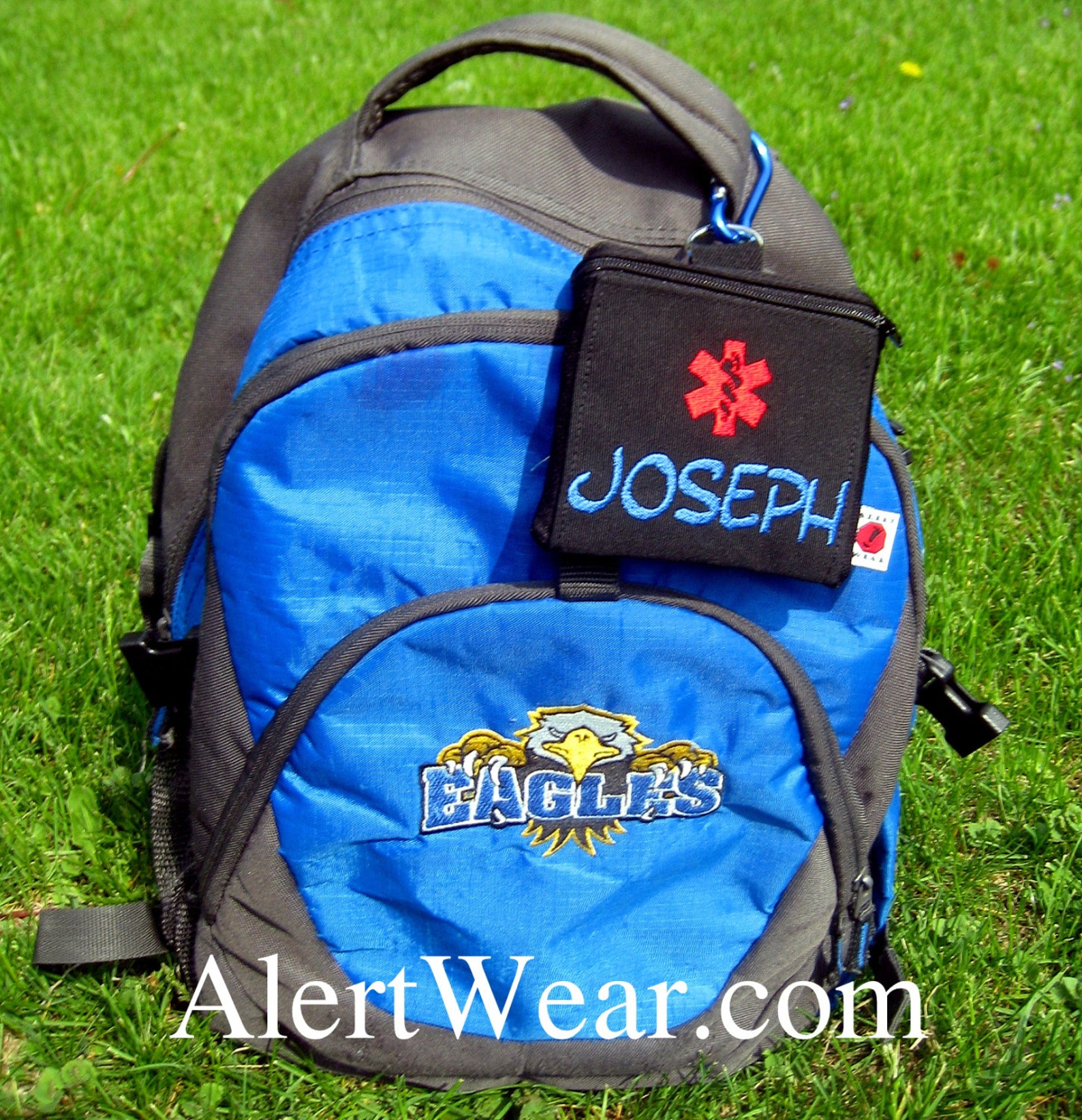 Auviq Medicine Case Inhaler Case First Aid Case by Alert Wear Etsy