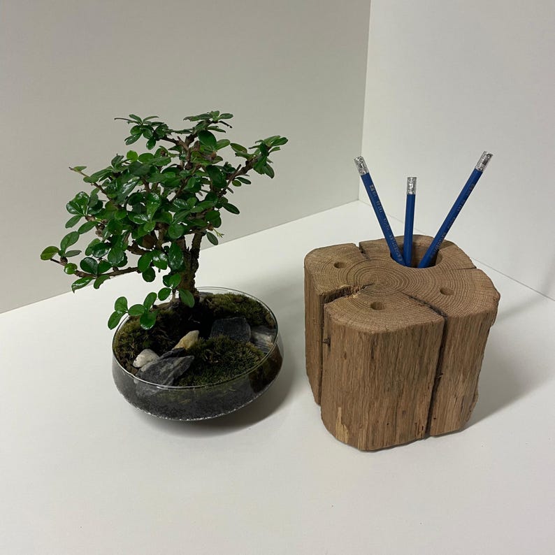 May include: A small bonsai tree in a clear glass bowl with rocks and moss, next to a rustic wooden pencil holder with three blue pencils. The pencil holder is made from a section of a tree trunk.