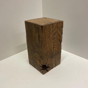 Pu&ograve; includere: Un blocco rettangolare di legno marrone scuro con una venatura visibile e un piccolo nodo scuro vicino all'angolo inferiore. L'oggetto presenta una superficie ruvida e strutturata sui lati e una parte superiore piatta e liscia con cerchi.