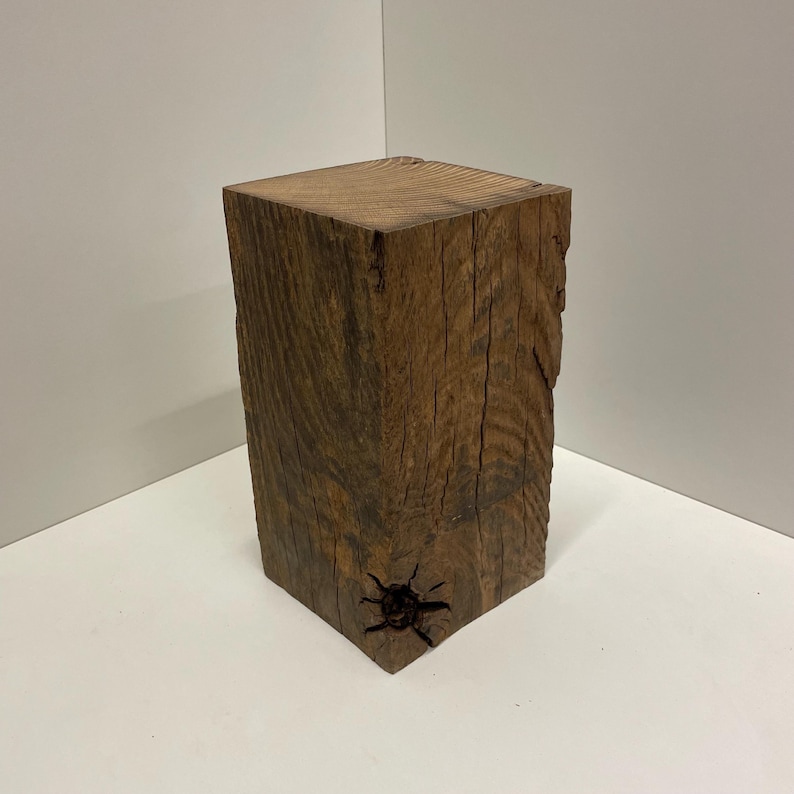 Pu&ograve; includere: Un blocco rettangolare di legno marrone scuro con una venatura visibile e un piccolo nodo scuro vicino all'angolo inferiore. L'oggetto presenta una superficie ruvida e strutturata sui lati e una parte superiore piatta e liscia con cerchi.