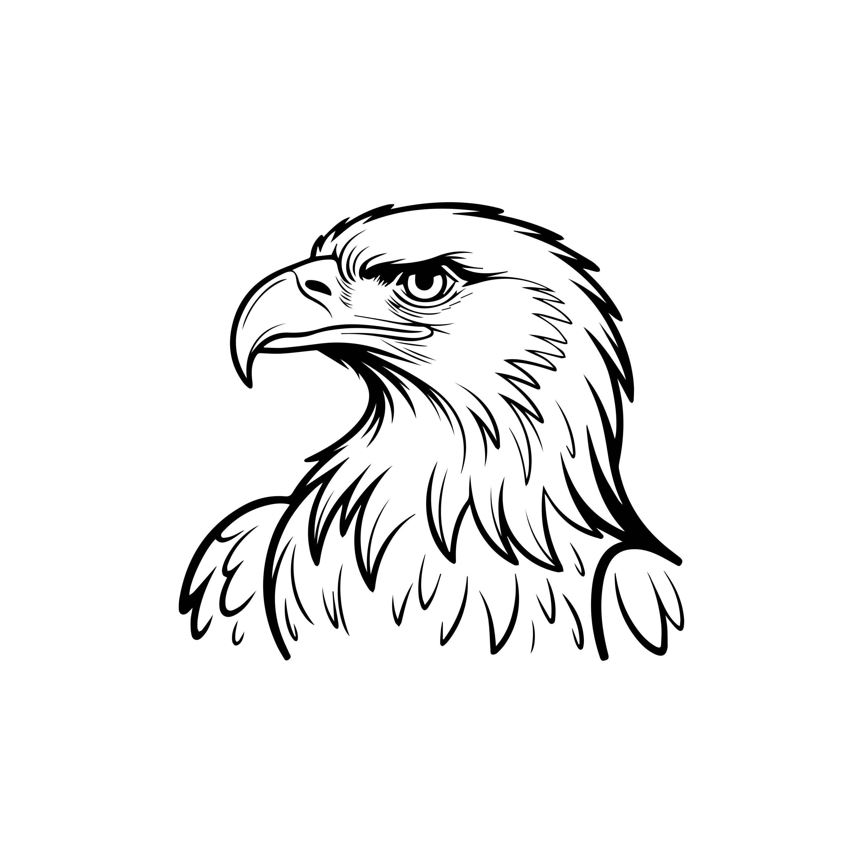 Eagle Head SVG PNG Patriotic Outline Clipart, Laser Cut File(digital ...