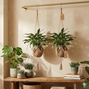 Könnte beinhalten: Zwei hängende Pflanzen in gewebten Makramee-Haltern mit Quasten, die an einer goldenen Stange aufgehängt sind. Mehrere Topfpflanzen stehen auf einem Holzregal darunter, darunter eine Monstera und Sukkulenten. Die Szene ist in warmes, natürliches Licht getaucht.