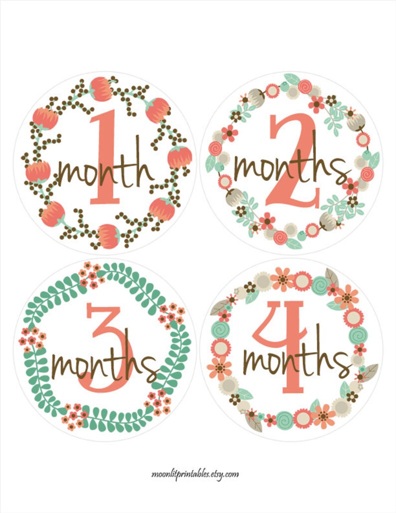 FREE GIFT 221 Monthly Age Sticker Baby Month Stickers Baby Girl Month Stickers Monthly Baby Stickers Orange Bodysuit Stickers