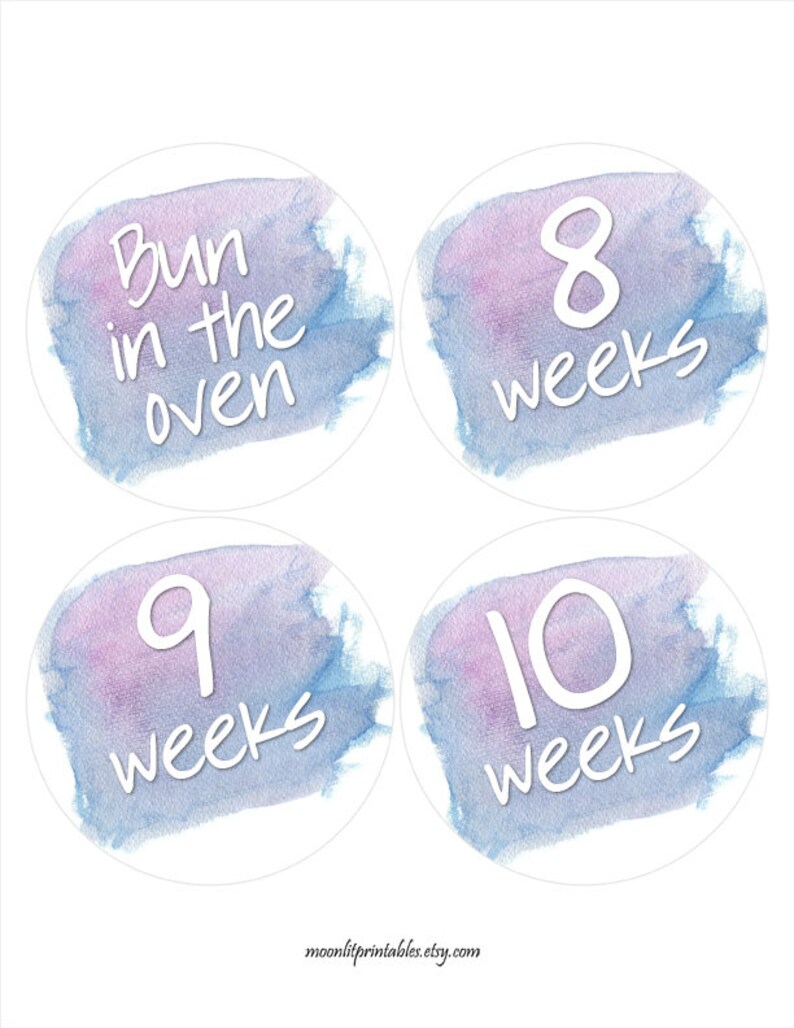 FREE GIFT Weekly Pregnancy Stickers Belly Bump Stickers Bun - Etsy