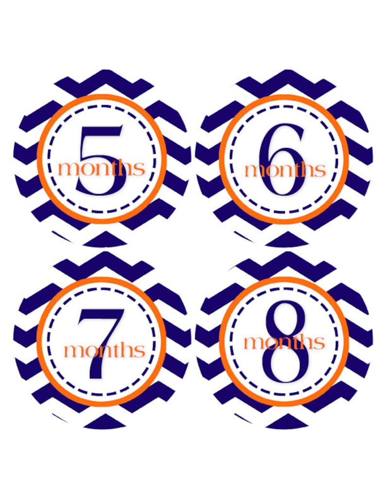 Baby Month Stickers 1-12 months Baby Stickers Baby Milestones Monthly Baby Stickers Bodysuit 405 FREE GIFT Baby Boy Stickers