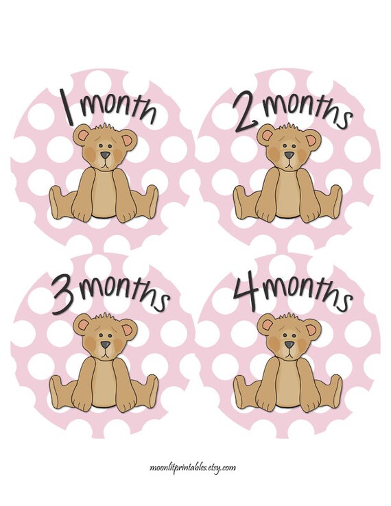 teddy stickers