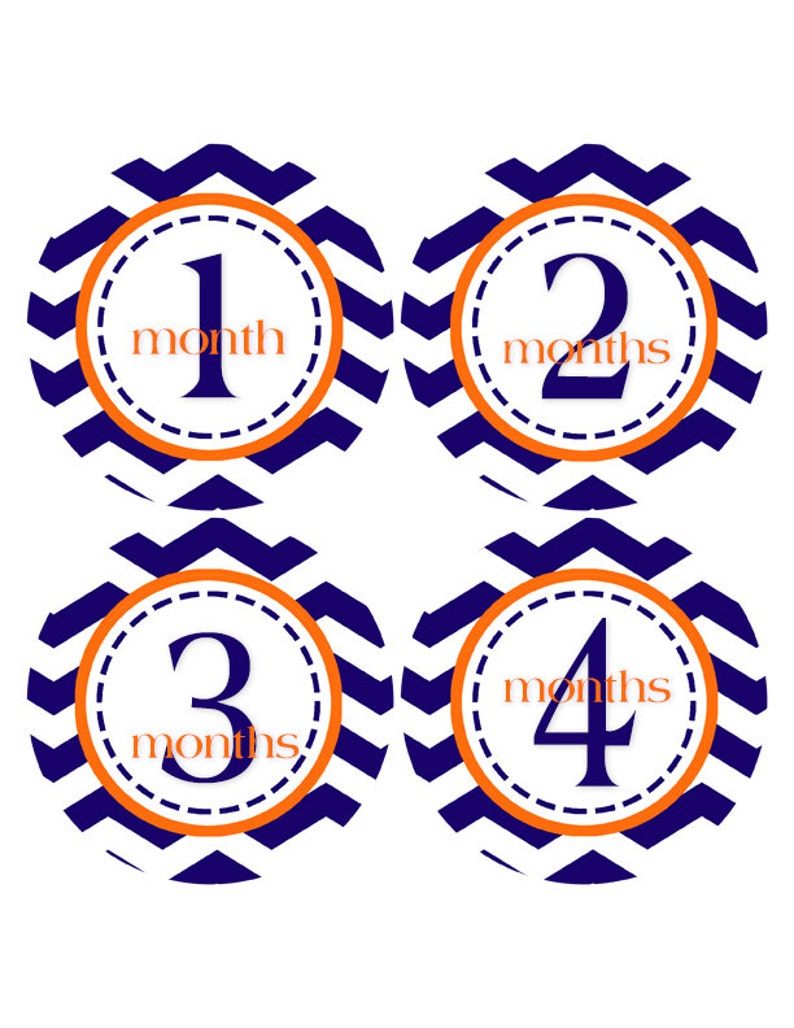 Baby Month Stickers 1-12 months Baby Stickers Baby Milestones Monthly Baby Stickers Bodysuit 405 FREE GIFT Baby Boy Stickers