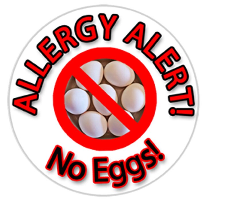 Allergy Sticker No Eggs Sticker Egg Allergy Sticker Allergy Etsy
