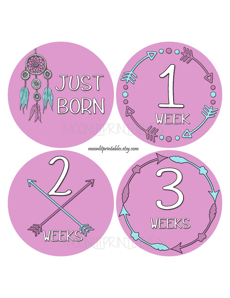 464 Milestone Stickers Monthly Baby Stickers Tribal Baby Stickers Baby Girl Stickers FREE GIFT Arrow Stickers Baby Month Stickers