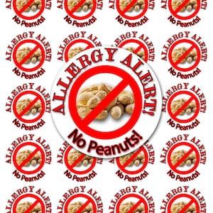 No Peanuts Sticker, Allergy Sticker, Peanut Allergy Sticker, Allergy Alert Sticker, Personalized Allergy Sticker SHEET OF 12 (152)