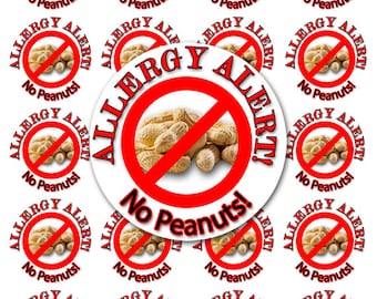 No Peanuts Sticker, Allergy Sticker, Peanut Allergy Sticker, Allergy Alert Sticker, Personalized Allergy Sticker SHEET OF 12 (152)