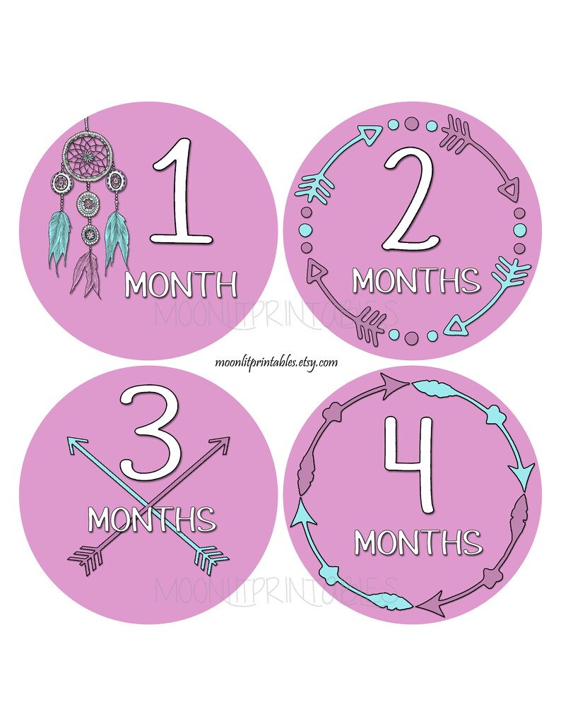 464 Milestone Stickers Monthly Baby Stickers Tribal Baby Stickers Baby Girl Stickers FREE GIFT Arrow Stickers Baby Month Stickers