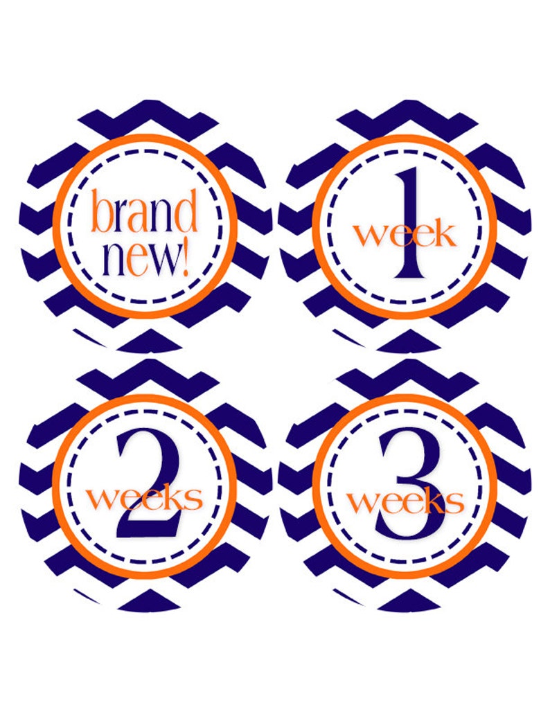 Baby Month Stickers 1-12 months Baby Stickers Baby Milestones Monthly Baby Stickers Bodysuit 405 FREE GIFT Baby Boy Stickers