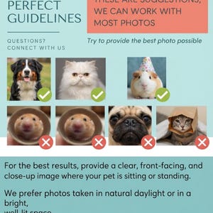 May include: An informational graphic with the title PICTURE PERFECT GUIDELINES. It displays eight pet photos, four marked with green checkmarks and four with red X marks. Text includes instructions for providing clear, front-facing pet photos.