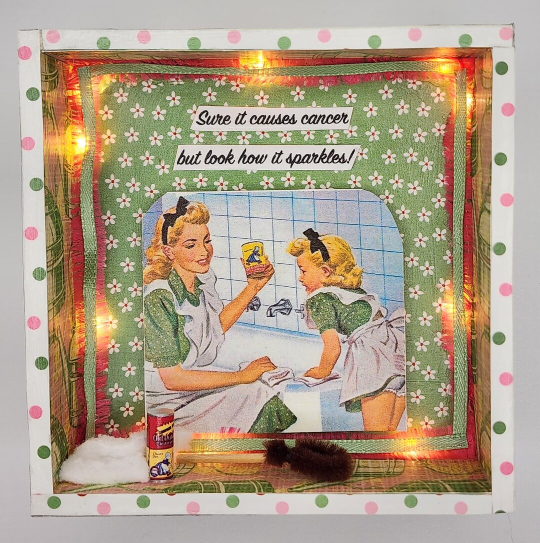 Sarcastic 50's Housewife Cleaning Box - Etsy
