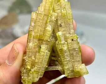 natural bicolour tourmaline cluster double termination