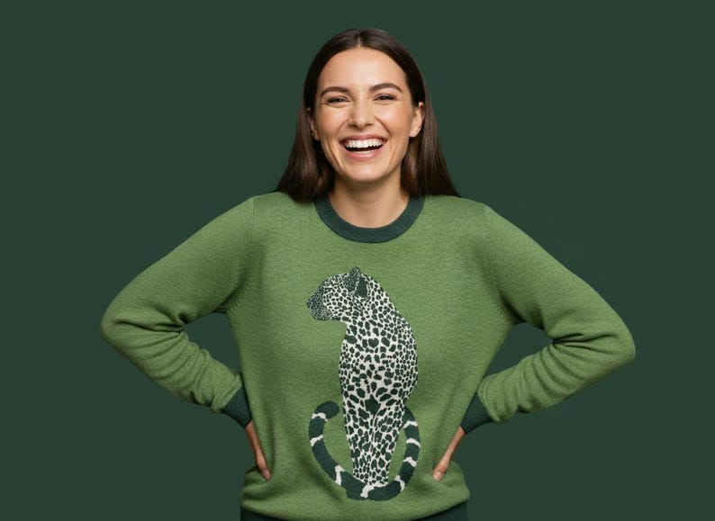 Pull coloris léopard manches longues col rond Taille Taille unique convient du 34 au 42 Couleur léopard