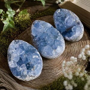 May include: Three egg-shaped celestite geodes featuring clusters of translucent, light blue crystalline structures. Each specimen displays a rough, natural outer shell with a hollow interior filled with jagged, sparkling blue mineral formations.