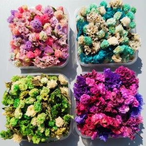 May include: Four square clear plastic containers filled with dried flowers in various colours. The top left container holds pink, purple, and white flowers. The top right has teal and white. The bottom left contains green and white. The bottom right features deep pink, purple, and magenta flowers.