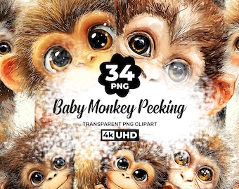 Baby Monkey Peeking Clipart Bundle | 34 PNG Safari Animals (Digital Download)