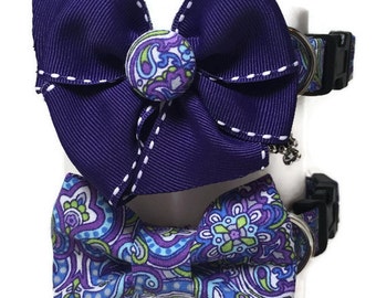 Purple Reign Paisley Dog Collar size Extra Large
