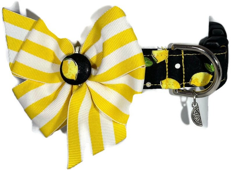 Lemons Black and Yellow Dog Collar ALL SIZES image 2