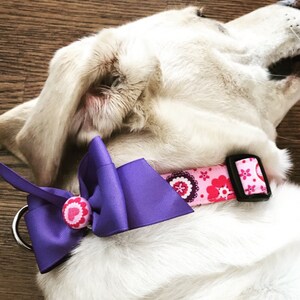 Valentine Hearts and Flowers Dog Collar ALL SIZES image 3