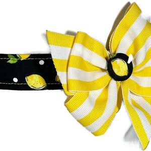 Lemons Black and Yellow Dog Collar ALL SIZES image 1