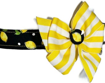 Lemons Black and Yellow Dog Collar ALL SIZES