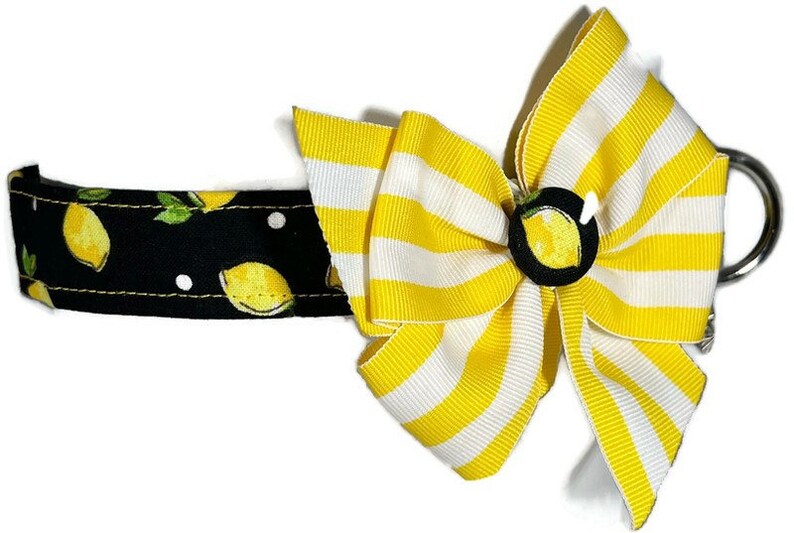 Lemons Black and Yellow Dog Collar ALL SIZES image 1