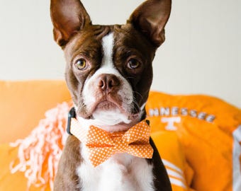 Orange Polka Dot Bow Tie Dog Collar All Sizes