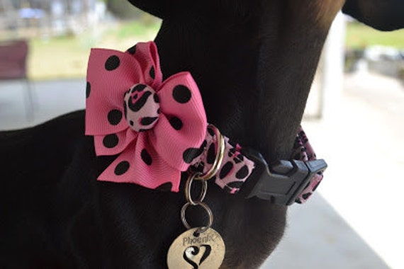 extra small dog collar size
