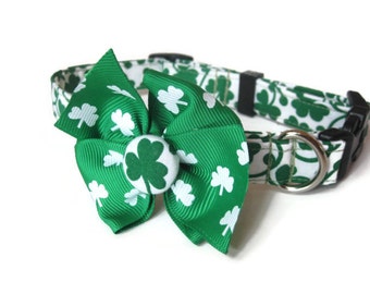 St. Patrick's Day Shamrock Dog Collar size  Small