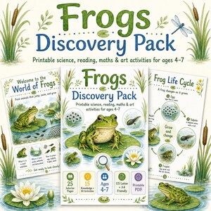 Frogs Discovery Pack Printable, Kids Science Worksheets, Frog Life Cycle Activities, Preschool Kindergarten PDF image 2