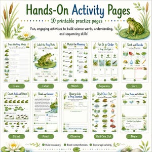 Frogs Discovery Pack Printable, Kids Science Worksheets, Frog Life Cycle Activities, Preschool Kindergarten PDF image 4