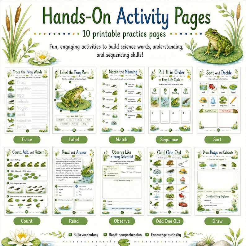 Frogs Discovery Pack Printable, Kids Science Worksheets, Frog Life Cycle Activities, Preschool Kindergarten PDF image 4