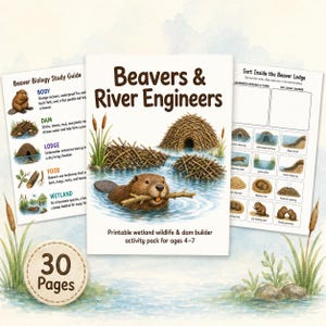 Könnte beinhalten: Ein 30-seitiges druckbares Aktivitätspaket mit dem Titel Beavers & River Engineers, das eine zentrale Illustration eines Bibers mit einem Stock im Wasser zeigt, mit einem Studienführer links und einem Sortierblatt rechts.