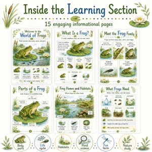 Frogs Discovery Pack Printable, Kids Science Worksheets, Frog Life Cycle Activities, Preschool Kindergarten PDF image 3
