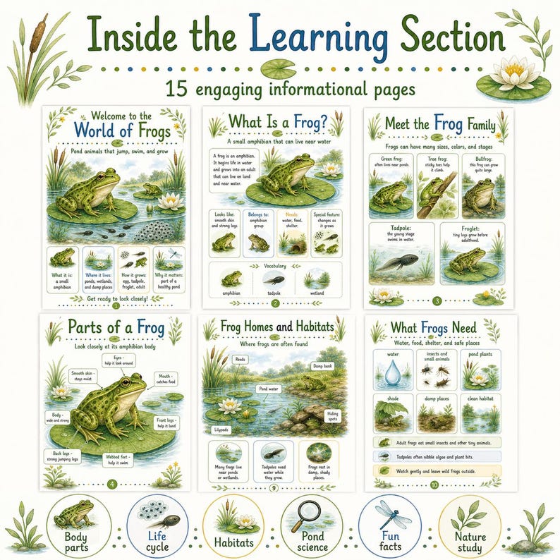 Frogs Discovery Pack Printable, Kids Science Worksheets, Frog Life Cycle Activities, Preschool Kindergarten PDF image 3