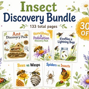 Puede incluir: Un Insect Discovery Bundle con un total de 133 páginas que incluye cinco paquetes educativos: Ant Discovery Pack, Honeybees & Pollination, Fireflies & Lightning Bugs, Bees vs Wasps y Spiders vs Insects, decorado con ilustraciones de insectos en acuarela.