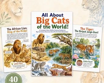 Arbeitsblattpaket „Großkatzen“ | 40 Seiten zum Thema Wildtierkunde | Löwe, Tiger, Jaguar, Gepard | Lernmaterial für Kinder im Homeschooling