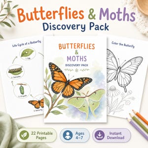 Ontdekkingspakket over vlinders en motten, printbaar wetenschappelijk werkblad, activiteiten over de levenscyclus van insecten, natuurstudie voor kleuters en thuisonderwijs (pdf)