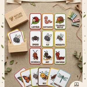 Tarjetas didácticas de insectos, estudio de la naturaleza en acuarela, tarjetas de vocabulario preescolar (descarga digital)