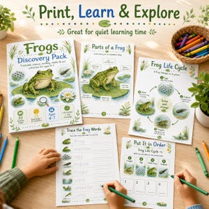 Frogs Discovery Pack Printable, Kids Science Worksheets, Frog Life Cycle Activities, Preschool Kindergarten PDF image 5