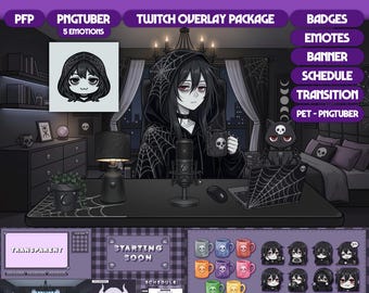 Modelo PNGTuber femenina / Modelo Vtuber prediseñada / Paquete de superposiciones de Twitch, insignias de suscripción/bit, gestos, alertas, paneles, transición, TF02 - Miyu