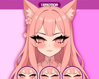 Female PNGTuber Model | Premade PNGTuber Girl | VeadoTube Model | Cute PNG Tuber Model | Vtuber Model, Twitch Avatar, GIFTuber, F29 - Nene
